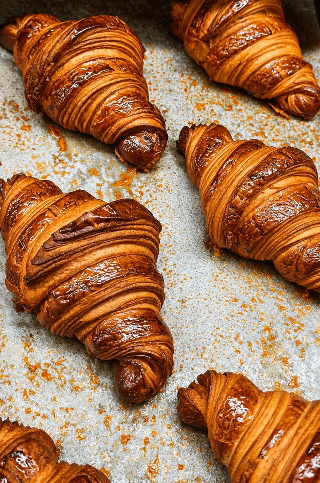 L'Enfant Du Bassin Viennoiseries Arcachon